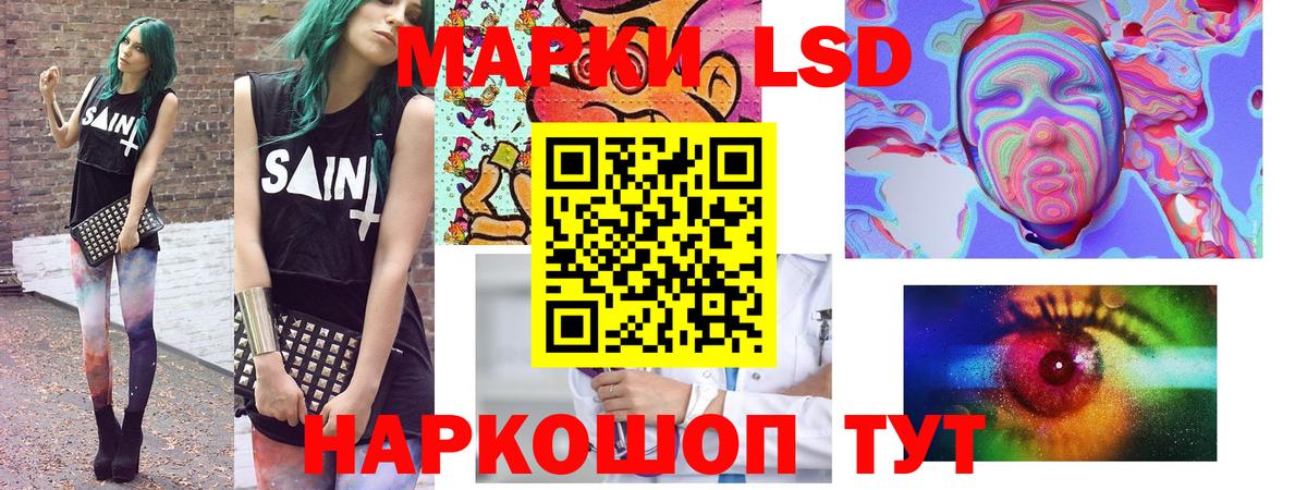 Марки N-bome 1500мкг Лесной