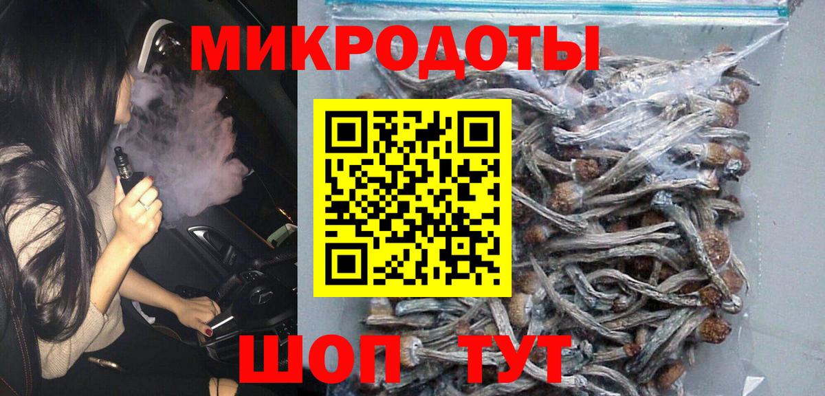 Псилоцибиновые грибы Psilocybe  Псилоцибиновые грибы GOLDEN TEACHER  Лесной  Вход с VPN 